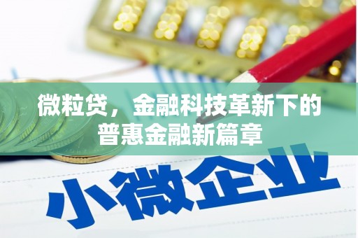 乳源微粒贷，金融科技革新下的普惠金融新篇章