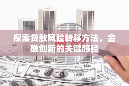 乳源探索贷款风险转移方法，金融创新的关键路径