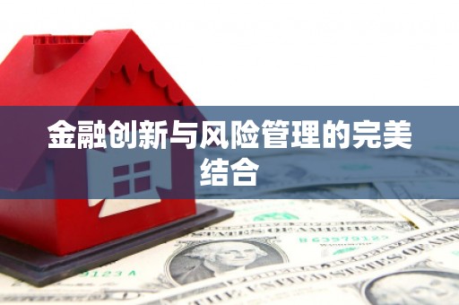 乳源金融创新与风险管理的完美结合