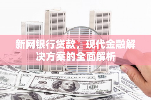 乳源新网银行贷款，现代金融解决方案的全面解析