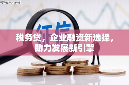 乳源税务贷，企业融资新选择，助力发展新引擎
