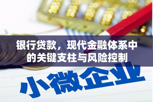 乳源银行贷款，现代金融体系中的关键支柱与风险控制