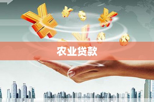 乳源农业贷款