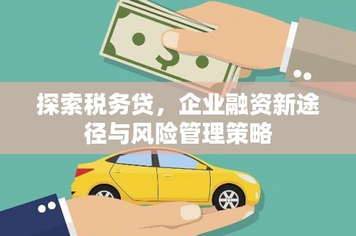 乳源探索税务贷，企业融资新途径与风险管理策略