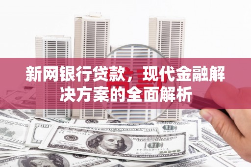 乳源新网银行贷款，现代金融解决方案的全面解析
