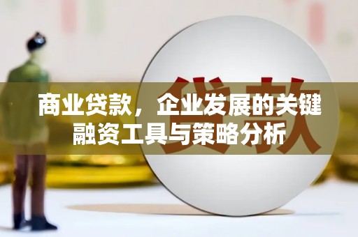 乳源商业贷款，企业发展的关键融资工具与策略分析