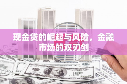 乳源现金贷的崛起与风险，金融市场的双刃剑
