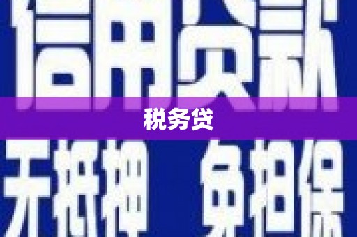 乳源税务贷