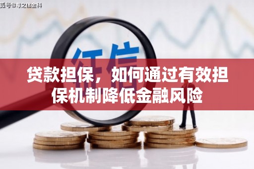 乳源贷款担保，如何通过有效担保机制降低金融风险