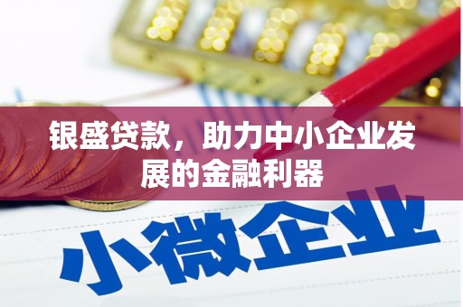 乳源银盛贷款，助力中小企业发展的金融利器