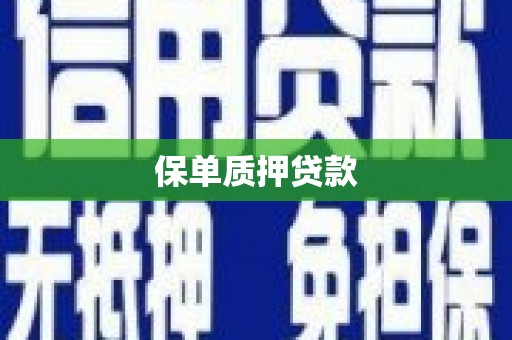 乳源保单质押贷款