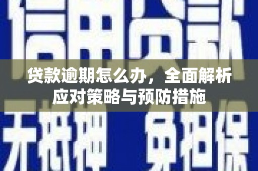 乳源贷款逾期怎么办，全面解析应对策略与预防措施