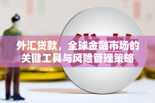 乳源外汇贷款，全球金融市场的关键工具与风险管理策略