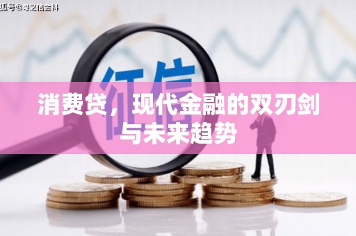 乳源消费贷，现代金融的双刃剑与未来趋势