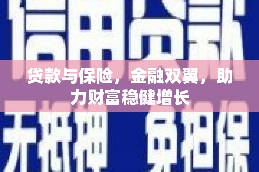 乳源贷款与保险，金融双翼，助力财富稳健增长