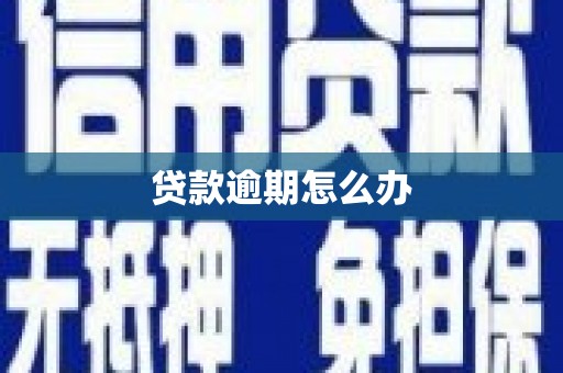 乳源贷款逾期怎么办