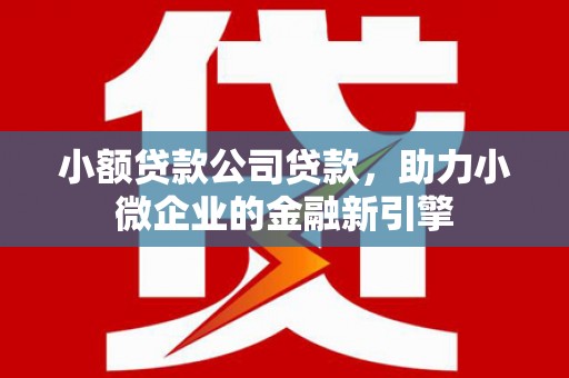 乳源小额贷款公司贷款，助力小微企业的金融新引擎
