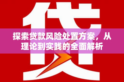 乳源探索贷款风险处置方案，从理论到实践的全面解析