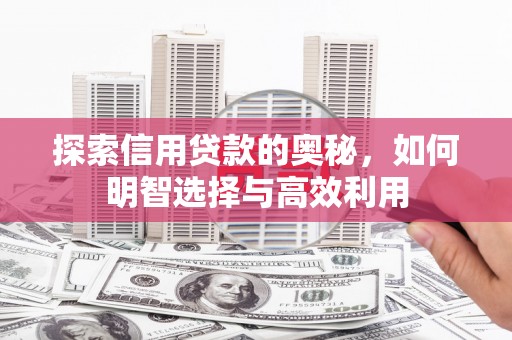 乳源探索信用贷款的奥秘，如何明智选择与高效利用