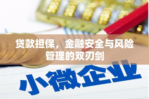 乳源贷款担保，金融安全与风险管理的双刃剑
