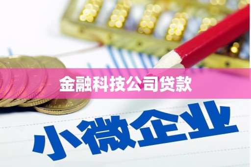 乳源金融科技公司贷款