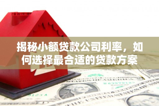 乳源揭秘小额贷款公司利率，如何选择最合适的贷款方案