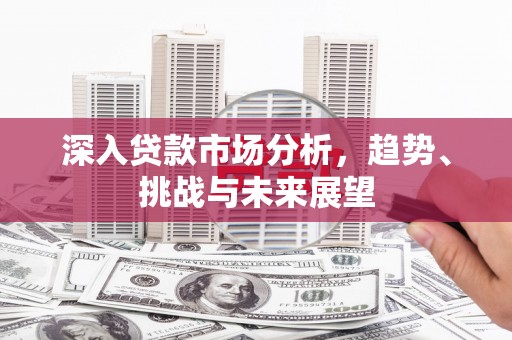乳源深入贷款市场分析，趋势、挑战与未来展望