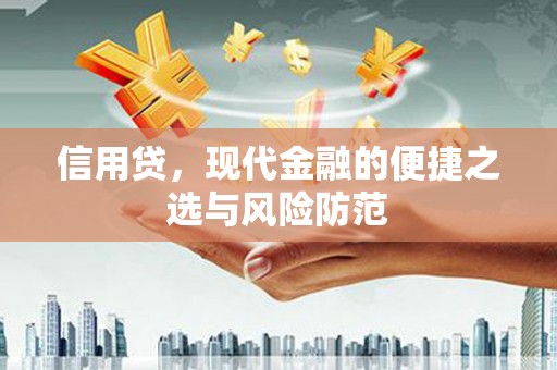 乳源信用贷，现代金融的便捷之选与风险防范