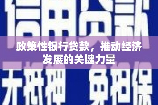 乳源政策性银行贷款，推动经济发展的关键力量