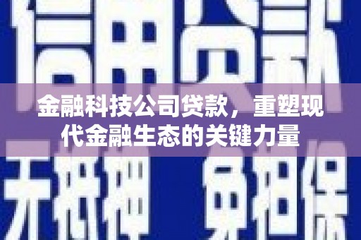 乳源金融科技公司贷款，重塑现代金融生态的关键力量