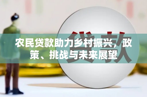 乳源农民贷款助力乡村振兴，政策、挑战与未来展望