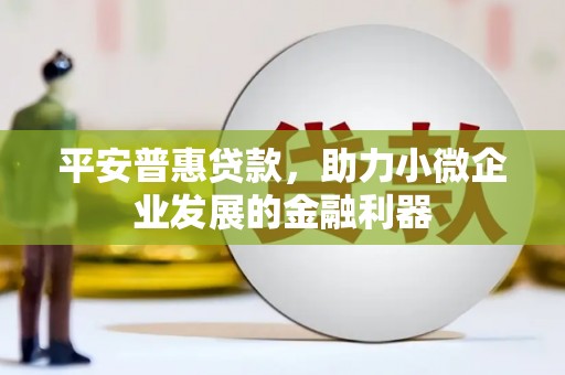乳源平安普惠贷款，助力小微企业发展的金融利器