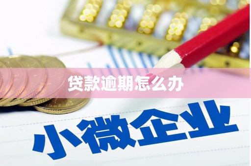 乳源贷款逾期怎么办