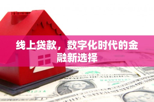 乳源线上贷款，数字化时代的金融新选择