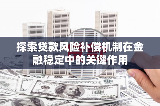 乳源探索贷款风险补偿机制在金融稳定中的关键作用