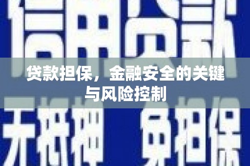 乳源贷款担保，金融安全的关键与风险控制