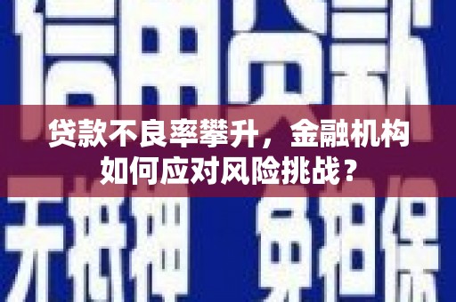 乳源贷款不良率攀升，金融机构如何应对风险挑战？