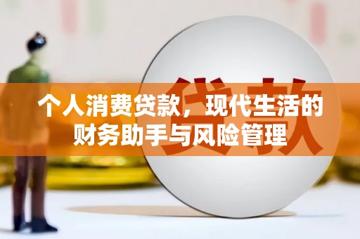 乳源个人消费贷款，现代生活的财务助手与风险管理