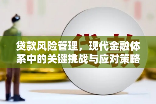 乳源贷款风险管理，现代金融体系中的关键挑战与应对策略