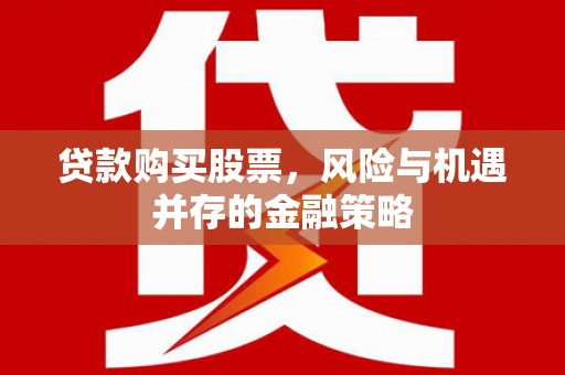 乳源贷款购买股票，风险与机遇并存的金融策略