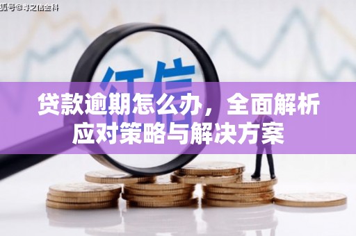 乳源贷款逾期怎么办，全面解析应对策略与解决方案