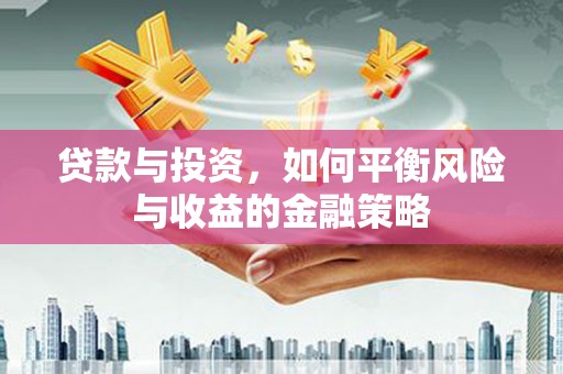 乳源贷款与投资，如何平衡风险与收益的金融策略