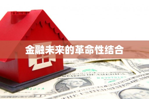 乳源金融未来的革命性结合