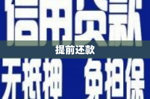 乳源提前还款